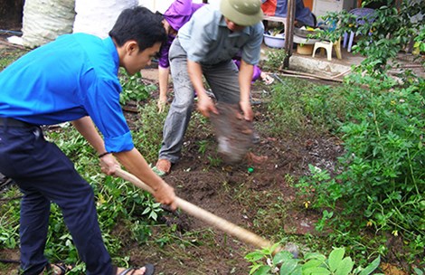 [-]TP.HCM[-]dồn[-]sức[-]diệt[-]lăng[-]quăng